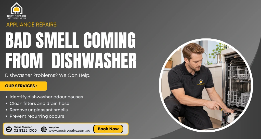 Bad smell coming from dishwasher and cleaning solutions